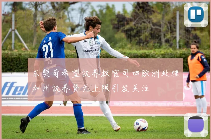 东契奇希望抚养权官司回欧洲处理加州抚养费无上限引发关注