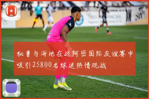 秘鲁与海地在迈阿密国际友谊赛中吸引25800名球迷热情观战